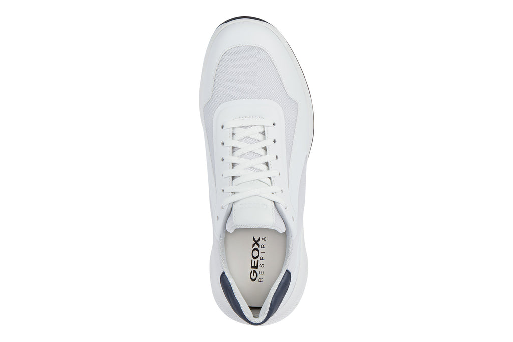 Geox PG1X Men's Sneaker – WalkingCo